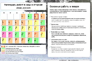 Календарь огородника-садовода на январь 2026 года