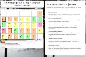 Календарь огородника-садовода на февраль 2026 года