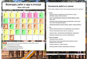 Календарь садовода-огородника на июнь 2026 года