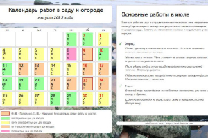 Календарь огородника-садовода на август 2025 года