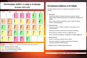 Календарь огородника-садовода на октябрь 2025 года