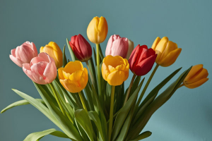 Корзинки для тюльпанов и не только