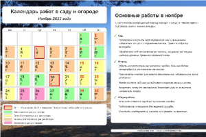 Календарь огородника-садовода на ноябрь 2025 года.