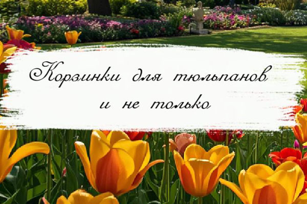 Корзинки для тюльпанов и не только